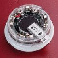 Apollo XP95 Beacon With Isolator 45681-333