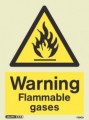 Warning Flammable Gases Sign - Photoluminescent - Jalite 7590D